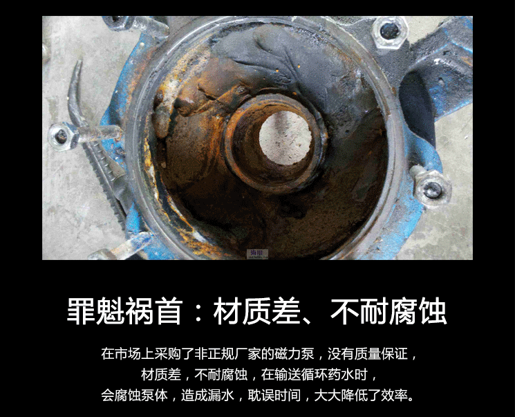 國(guó)寶磁力泵_03