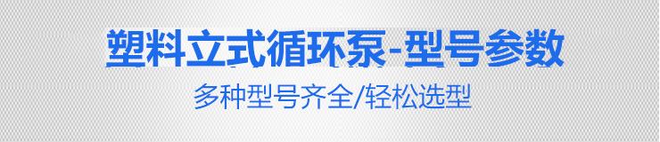 塑料立式循環(huán)泵3